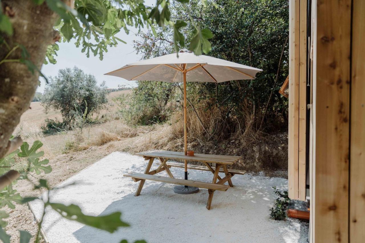 Agriturismo Qui Voglio Monte Roberto Bagian luar foto