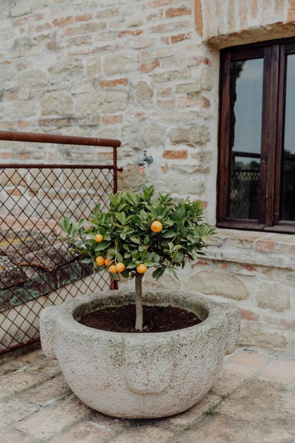 Agriturismo Qui Voglio Monte Roberto Bagian luar foto